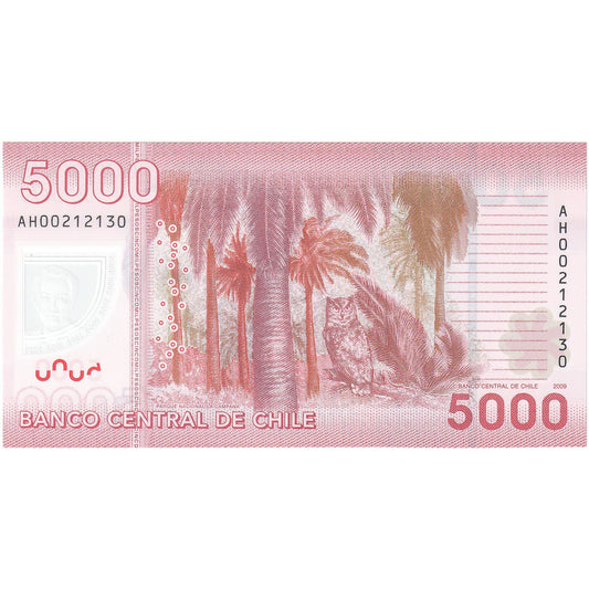 Čile,
5000 pesov,
2009
