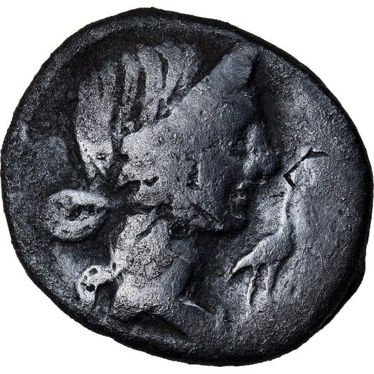 kovanec, 
  
  Cecilija, 
  
  Denarius